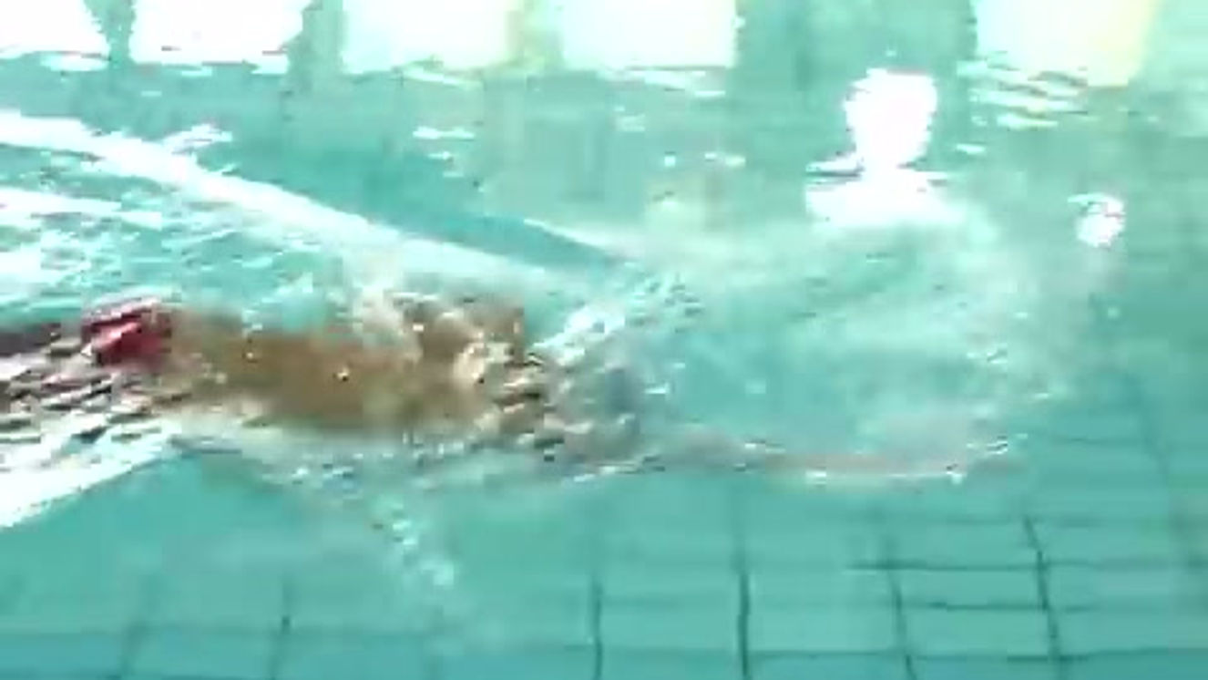 The Most Graceful Freestyle Swimming by Shinji Takeuchi
